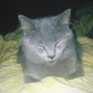 Meet your Posher, Grace